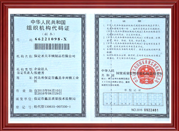 榮譽(yù)資質(zhì)